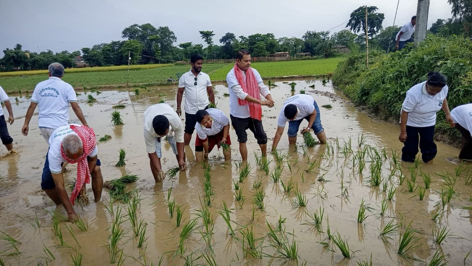वीरगञ्ज महानगरपालिकाको आयोजनामा २३ औँ राष्ट्रिय धान दिवस तथा रोपाइँ कार्यक्रम सम्पन्न
