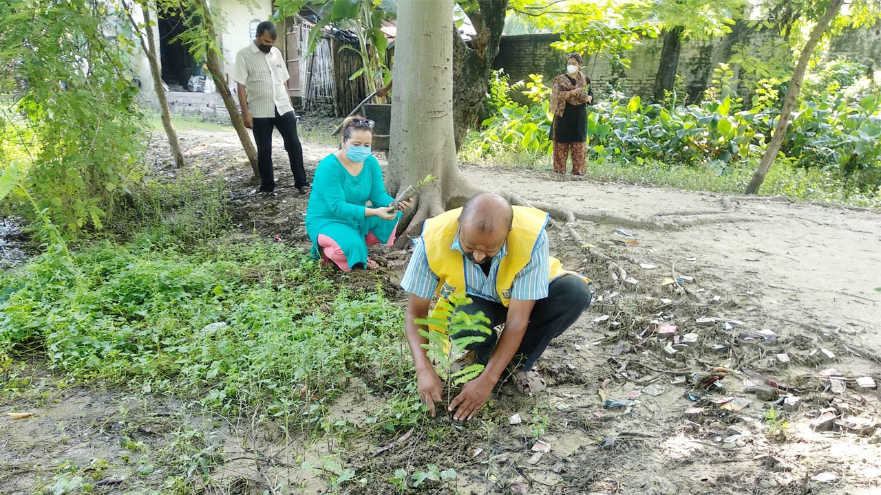 लायन्स क्लबको संयुक्त वृक्षारोपण कार्यक्रम सम्पन्न